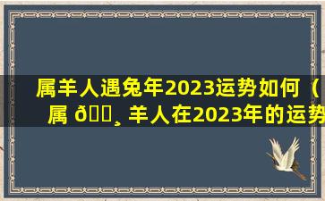 属羊人遇兔年2023运势如何（属 🌸 羊人在2023年的运势怎么样）